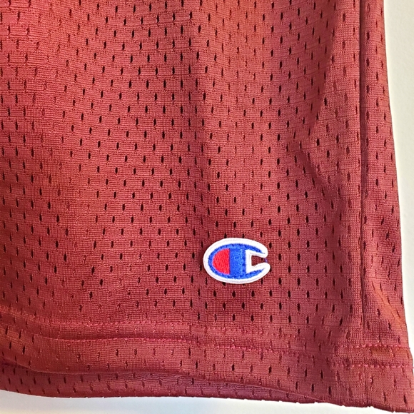 Champion Mesh Men's Shorts in Maroon Red - Picture 6 of 12
